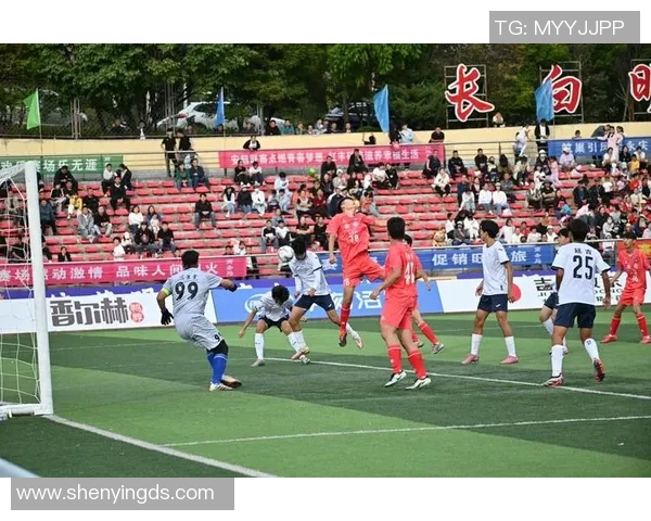 杭州足球队实力强劲荣登全国足球实力排行榜第五名