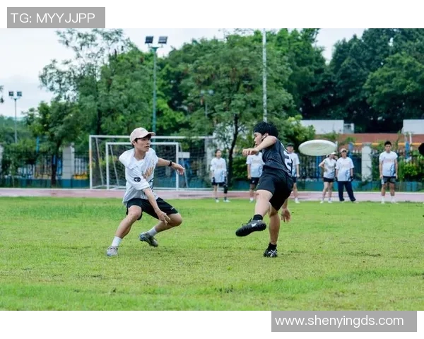 杭州飞盘队近期状态分析与表现评估探讨