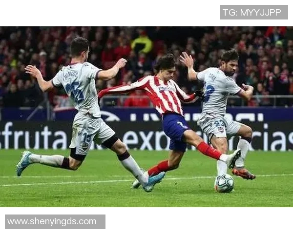 多特蒙德球迷暴力事件引发欧冠禁赛三场及50万欧元罚款 多特蒙德球迷暴力事件引发欧冠禁赛三场及50万欧元罚款