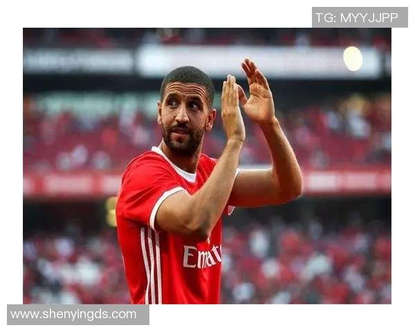 本菲卡与圣塔克比赛因故延期球迷期待新赛程安排