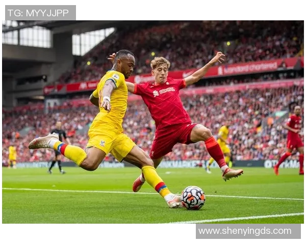 曼联与巴伦西亚的较量结果揭晓谁将赢得这场精彩对决