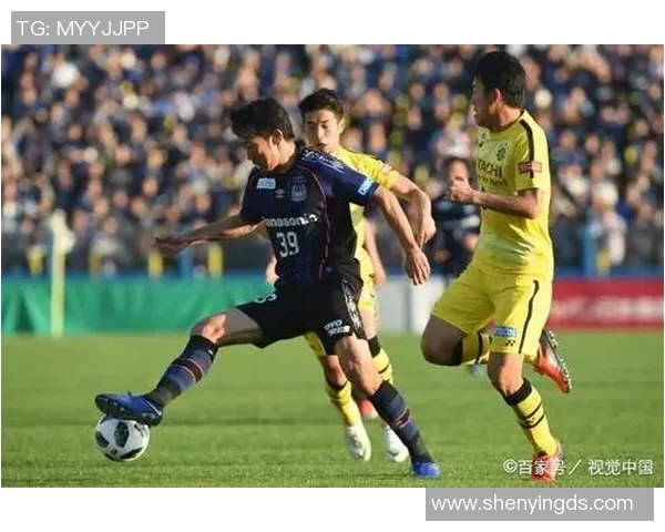 松本山雅与新泻天鹅历史交锋战绩分析及未来展望