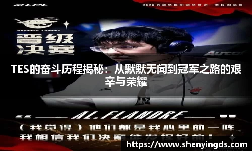 TES的奋斗历程揭秘：从默默无闻到冠军之路的艰辛与荣耀