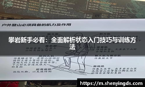 攀岩新手必看：全面解析状态入门技巧与训练方法