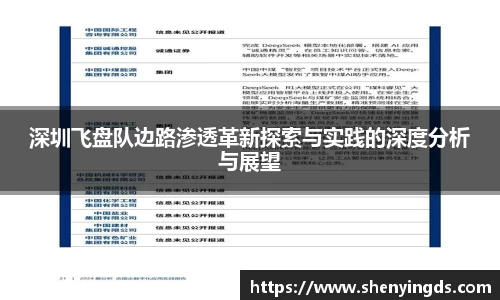 深圳飞盘队边路渗透革新探索与实践的深度分析与展望