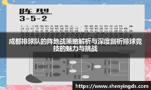 成都排球队的阵地战策略解析与深度剖析排球竞技的魅力与挑战