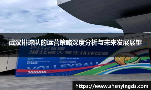 武汉排球队的运营策略深度分析与未来发展展望