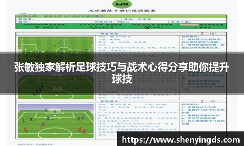 张敏独家解析足球技巧与战术心得分享助你提升球技
